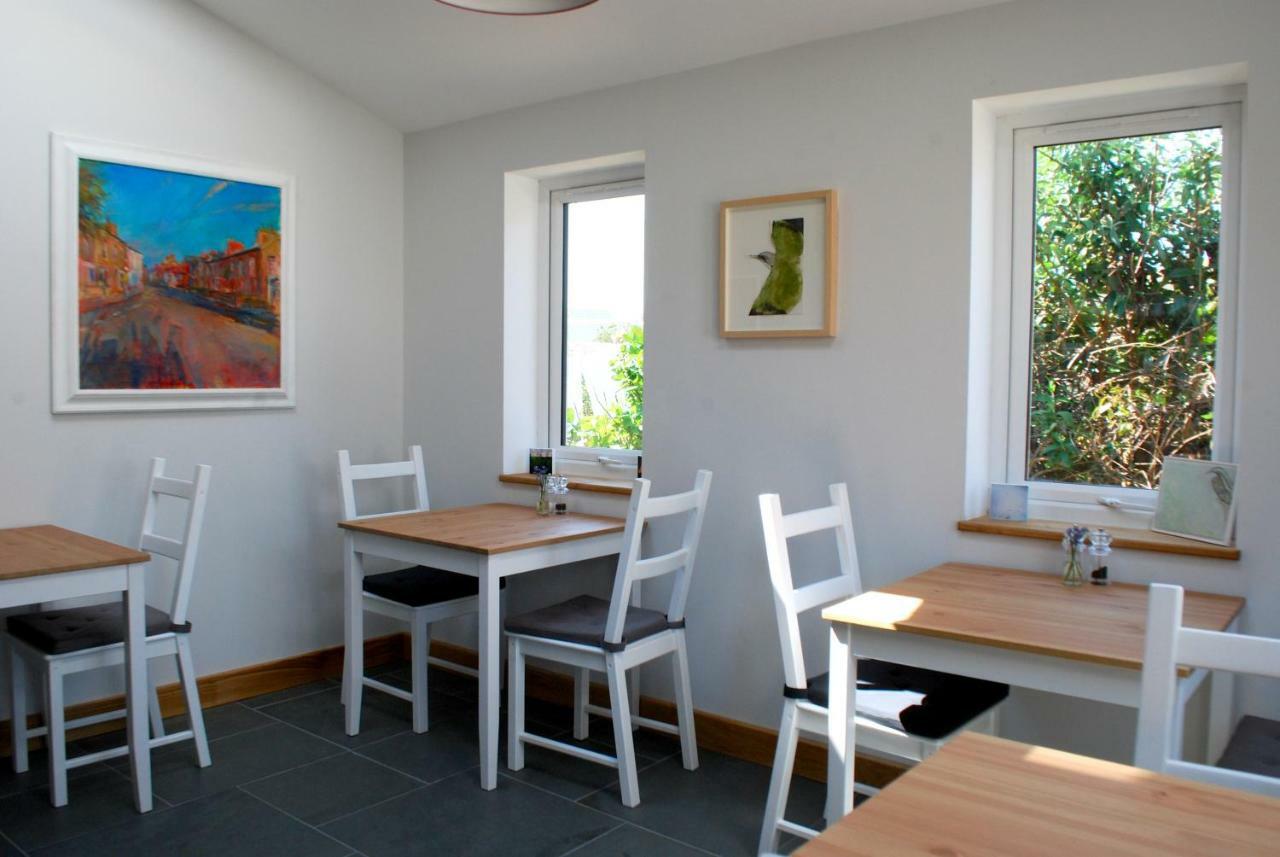 Ty Boia Bed & Breakfast 圣大卫 外观 照片